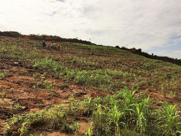 Slope Stabilisation - Logbaba Gas