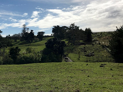 Daisy Burrell Drive | Hobbs Bay | Land | CMW Geosciences