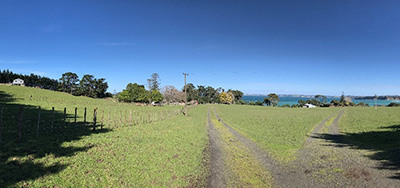 Daisy Burrell Drive | Hobbs Bay | CMW Geosciences