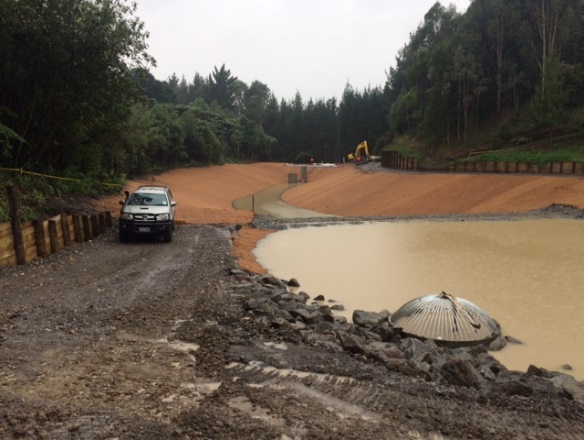 Tauranga City Council Stormwater Pond 11